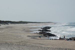 DSC_0550.JPG