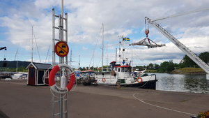 20200617_180425.jpg