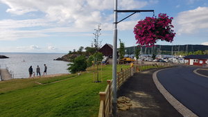 20200617_181534.jpg