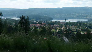 IMG_20200618_120110.jpg