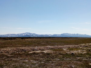 IMG_20200619_144336.jpg