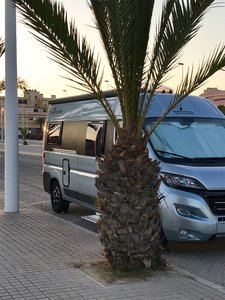 6212029F-93BA-4886-8D81-9A9F98CB21F0.jpeg 6212029F-93BA-4886-8D81-9A9F98CB21F0.jpeg