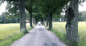 20200622_105102.jpg