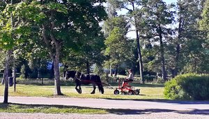 20200623_080526.jpg