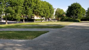 IMG_20200624_083229.jpg
