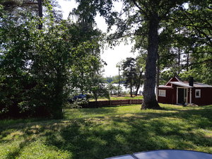 20200625_155015.jpg