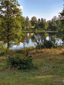 IMG_20200629_191627764_HDR.jpg