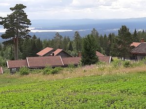 20200630_131333.jpg