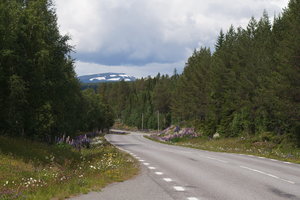 Strömsund Vildmarksv 1 029.JPG