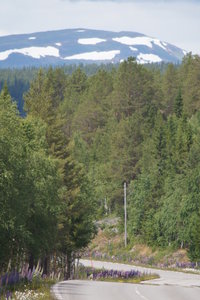 Strömsund Vildmarksv 1 030.JPG