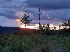 20200703_230852.jpg