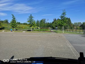 IMG_20200704_083807.jpg