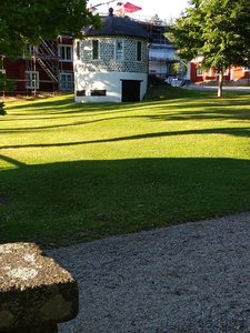IMG_20200703_194816023.jpg