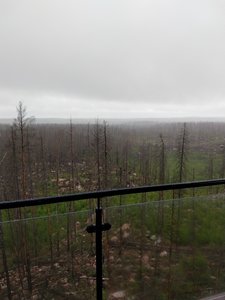IMG_20200704_103949149.jpg