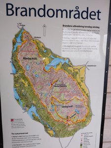 IMG_20200704_104011022.jpg