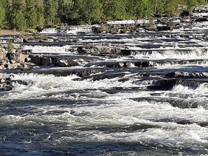 20200705_065523.jpg