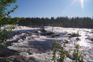 Trappstegsforsen 028.JPG