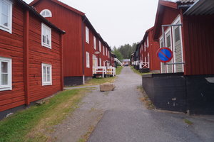 Tranor Vilhelmina Ren Sorsele 017.JPG