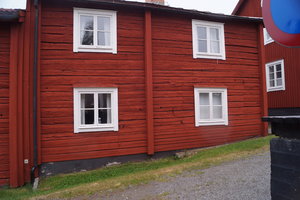 Tranor Vilhelmina Ren Sorsele 018.JPG