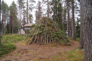 Tranor Vilhelmina Ren Sorsele 037.JPG