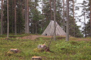 Tranor Vilhelmina Ren Sorsele 043.JPG