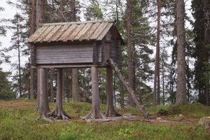 Tranor Vilhelmina Ren Sorsele 042.JPG