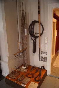 Tranor Vilhelmina Ren Sorsele 059.JPG