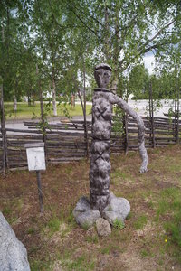 Tranor Vilhelmina Ren Sorsele 091.JPG