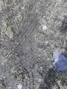 20200707_120708.jpg