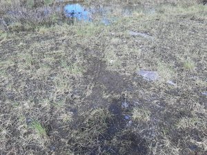 20200707_120725.jpg