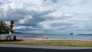 IMG_20200709_155610.jpg