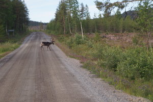 Jokkmokk 003.JPG