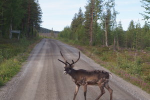 Jokkmokk 006.JPG