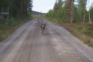 Jokkmokk 008.JPG