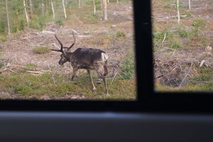 Jokkmokk 010.JPG