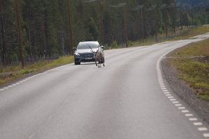 Jokkmokk 018.JPG
