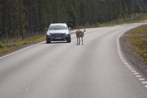 Jokkmokk 020.JPG