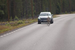 Jokkmokk 021.JPG