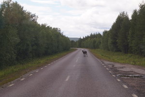 Kvikkjokk 005.JPG
