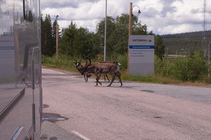 Kiruna 002.JPG