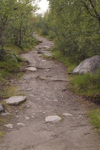Mot och vid Riksgränsen 047.JPG