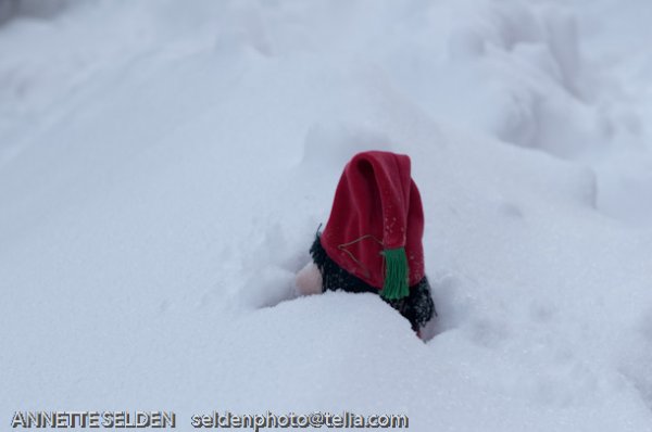 20100106.011.jpg 20100106.011.jpg