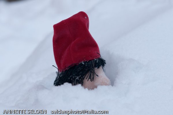 20100106.013.jpg 20100106.013.jpg