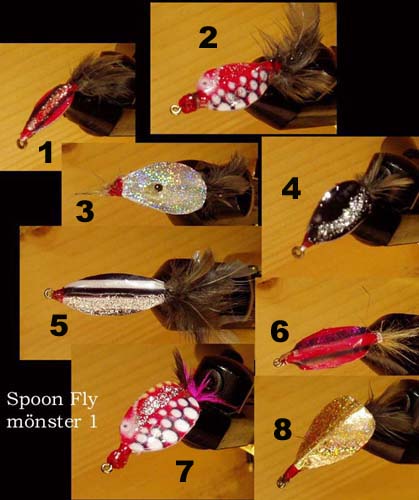 SpoonFly_6moenster kopia.jpg