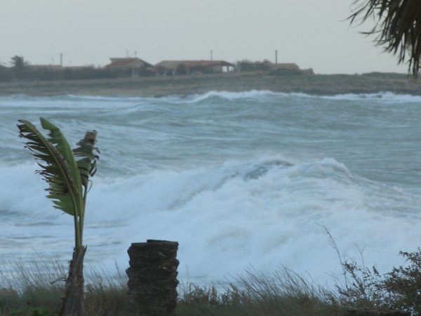 vinter resa 2009-2010 033.jpg