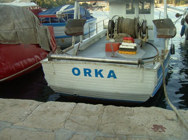 Orka.JPG