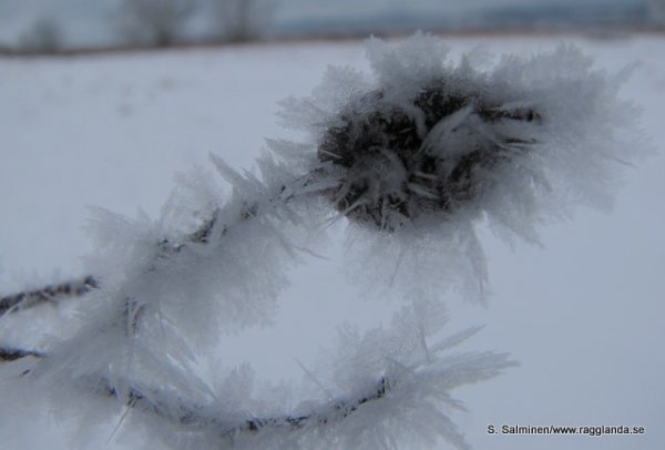 pump station 015.JPG