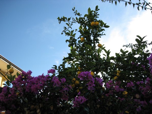 vinter resa 2009-2010 004.jpg