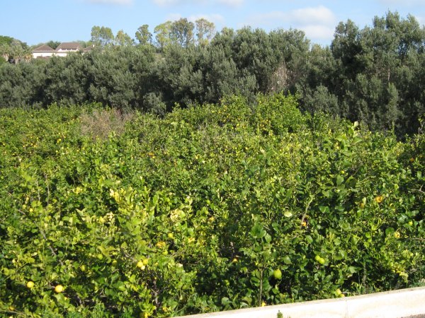 vinter resa 2009-2010 004.jpg