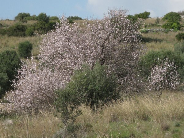 vinter resa 2009-2010 015.jpg